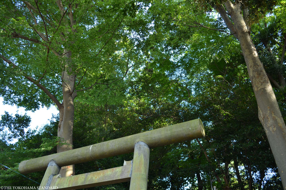 鹿島神社3-THE YOKOHAMA STANDARD
