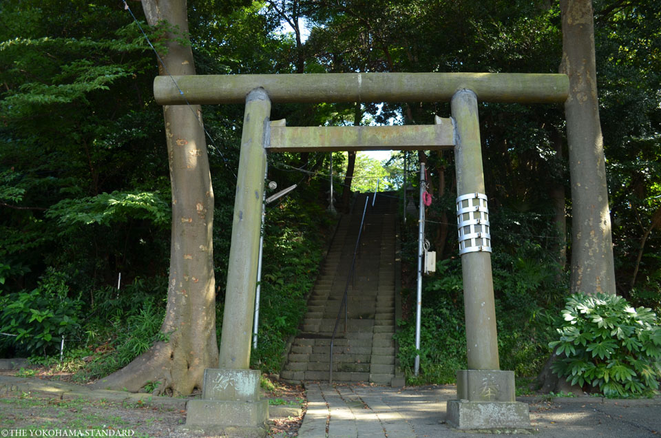 鹿島神社2-THE YOKOHAMA STANDARD