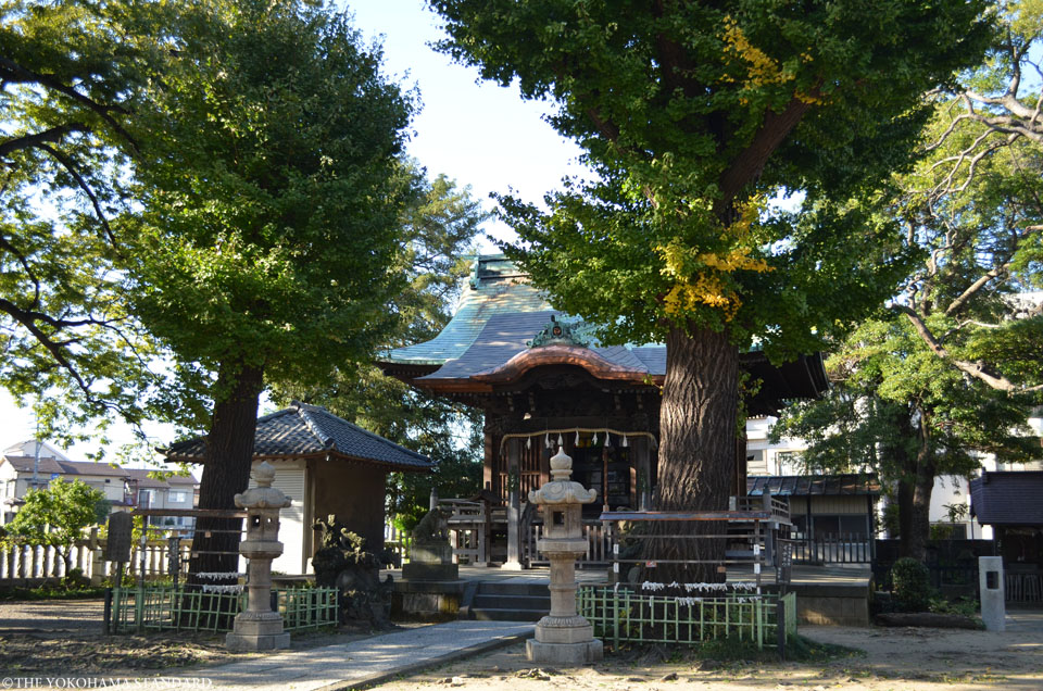 八幡橋八幡神社3-THE YOKOHAMA STANDARD