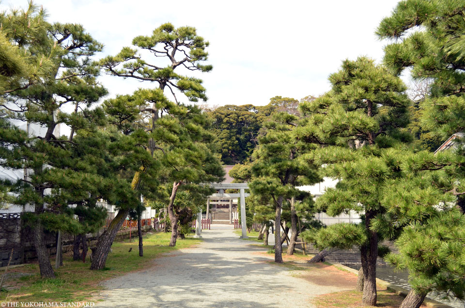 琵琶島神社4-THE YOKOHAMA STANDARD
