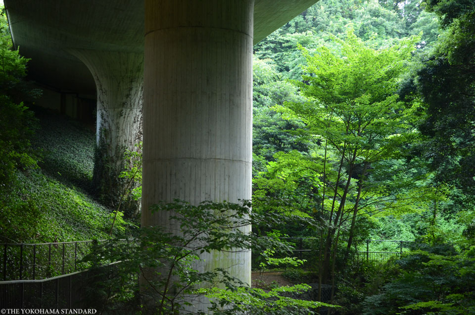 陣ヶ下高架橋8-THE YOKOHAMA STANDARD