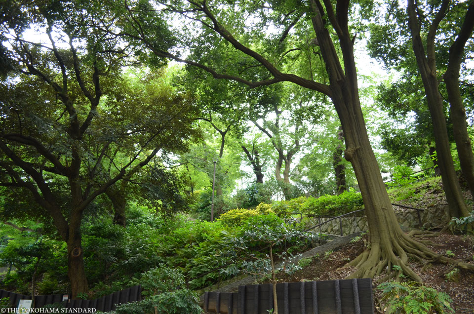 元町公園2-THE YOKOHAMA STANDARD