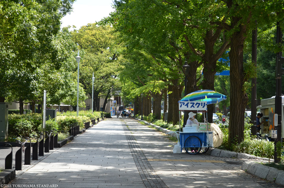 山下公園通り24-THE YOKOHAMA STANDARD