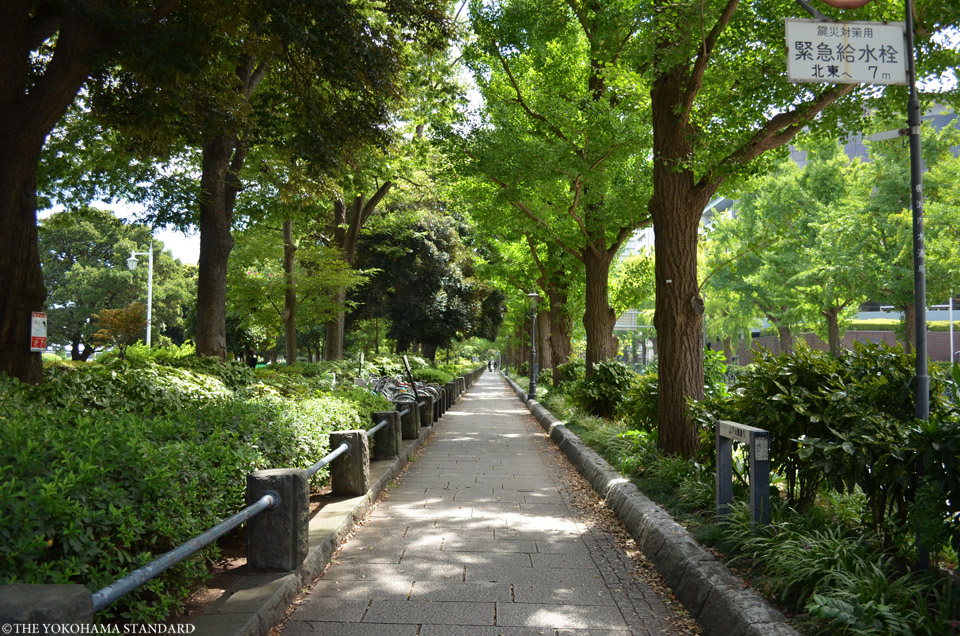 山下公園通り10-THE YOKOHAMA STANDARD