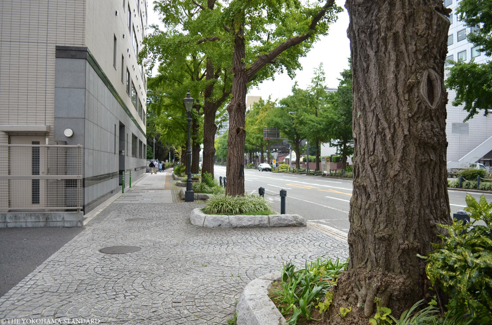 山下公園通り6-THE YOKOHAMA STANDARD
