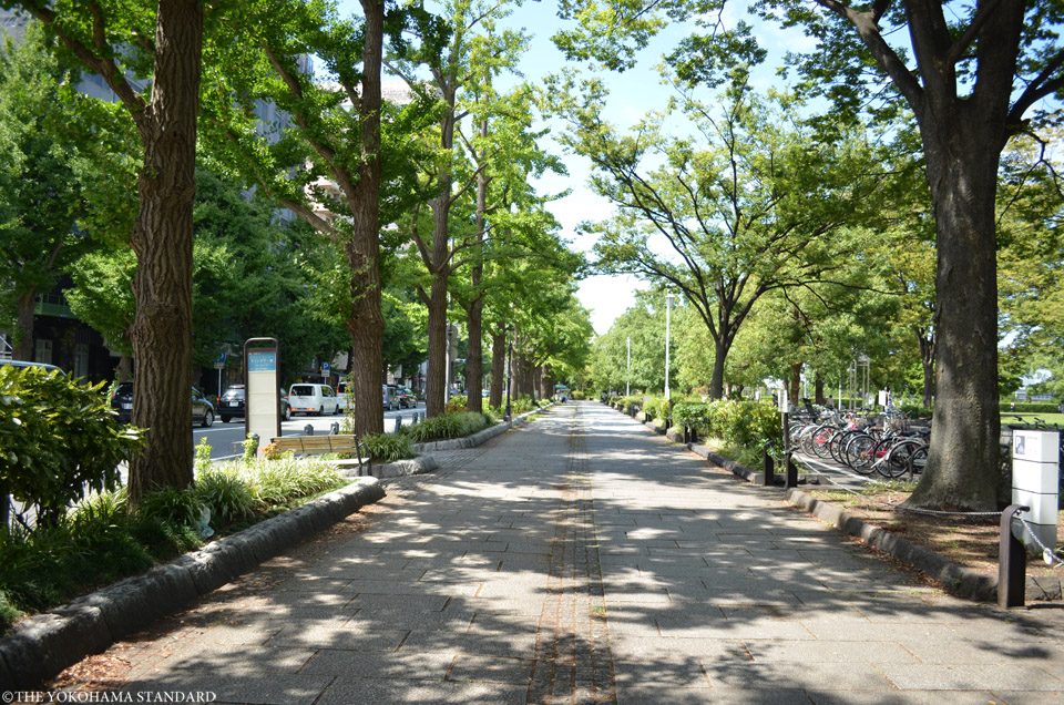 山下公園通り33-THE YOKOHAMA STANDARD