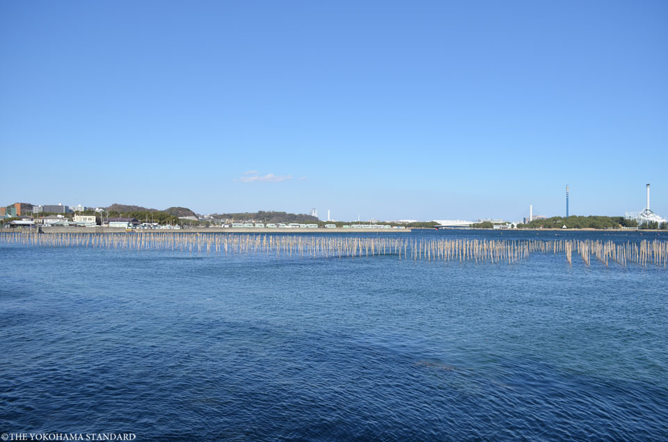 野島の海苔1-THE YOKOHAMA STANDARD